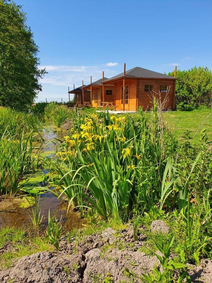 Camping De Oude Rijn Ter Aar Kültér fotó